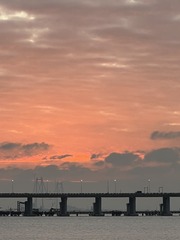4C868B4F-DF9F-4677-930E-06DEDFE00D33/L0/001