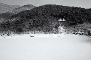 d365-2014-001