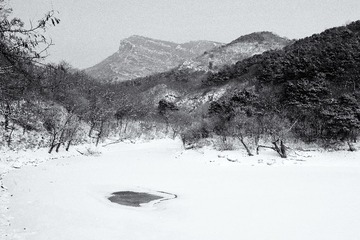 d365-2014-002