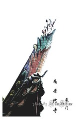 南普陀寺 屋顶