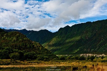 云影随动的山峰