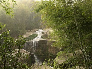 P3212390