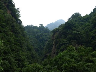 P7040066