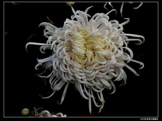 PB135944