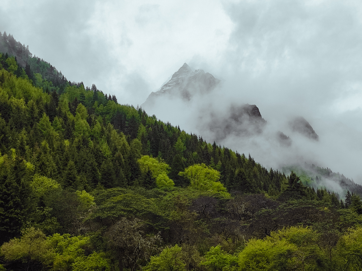 阴雨天的四姑娘山