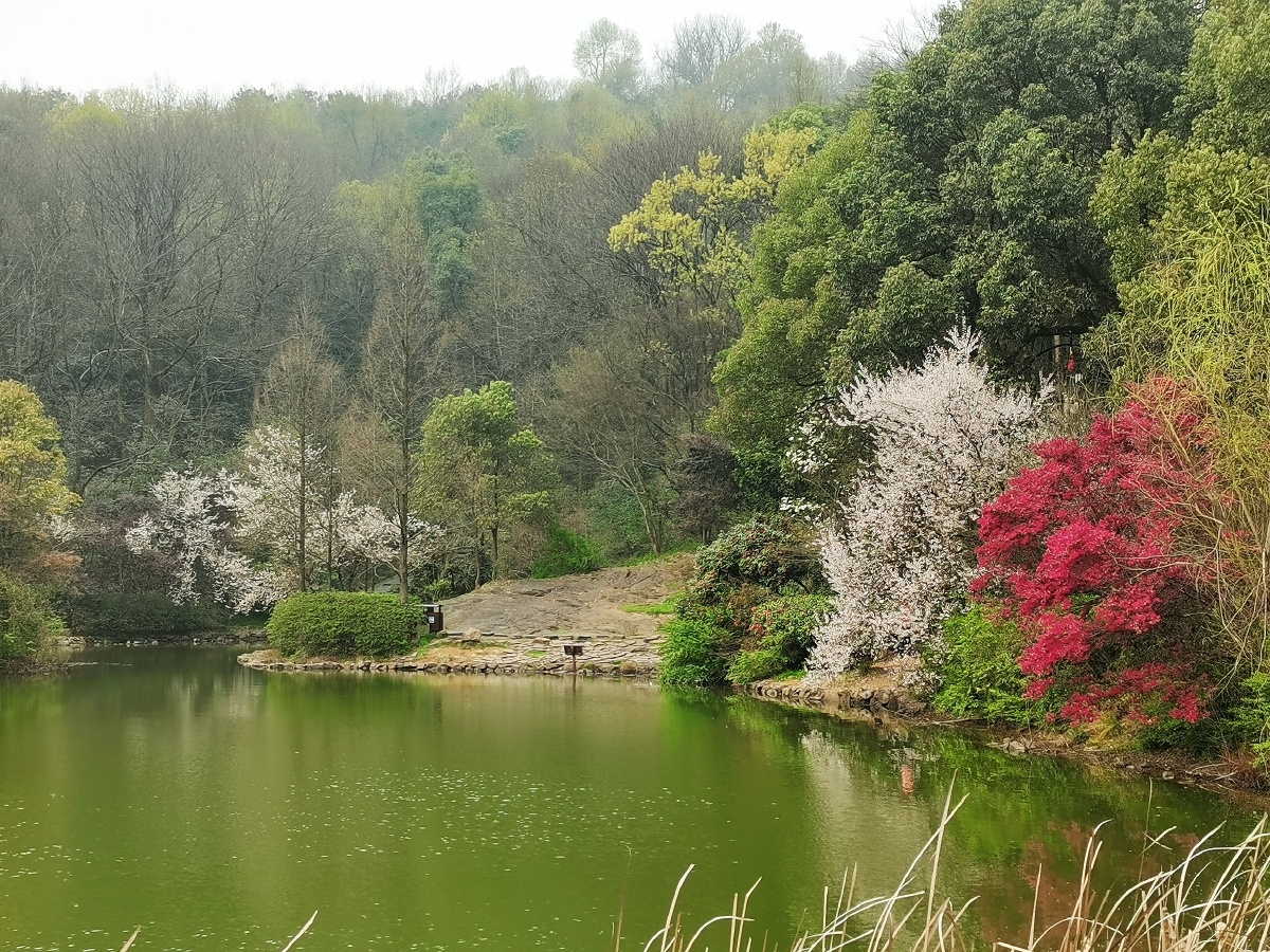 长沙岳麓山v景区内风景