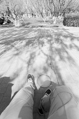 92497D91-07EF-4867-A13E-8A83B380B75B/L0/001