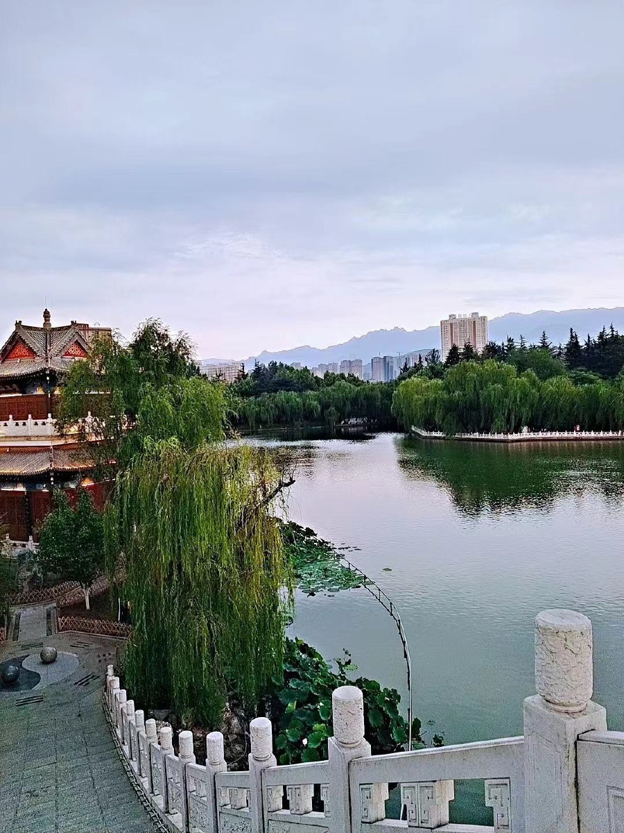 陕西省宝鸡市人民法公园随拍