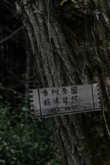 144B655B-B374-4314-AB0C-6626A5804792/L0/001