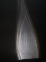 3118115