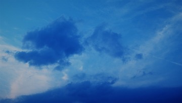 119061