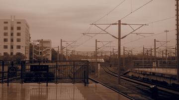 119068