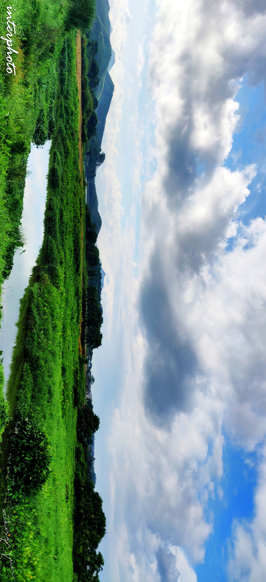 凤鹤湾湿地公园8