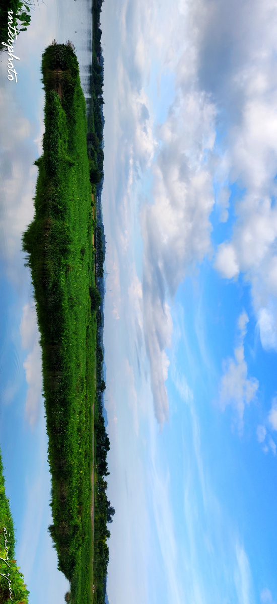 凤鹤湾湿地公园11