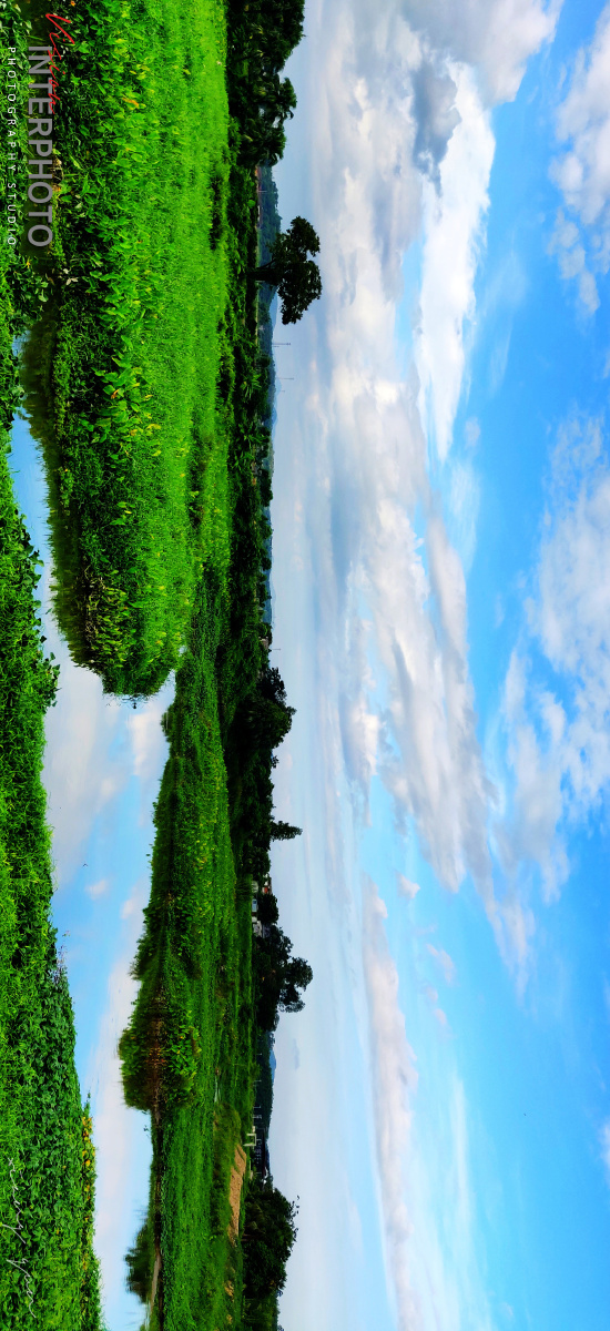 凤鹤湾湿地公园6