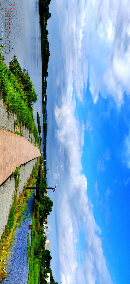 凤鹤湾湿地公园2