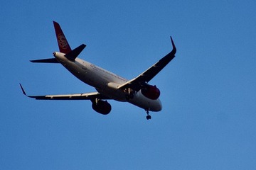 B6E26386-8C2C-4C8A-8295-3B11146ACBB2/L0/001
