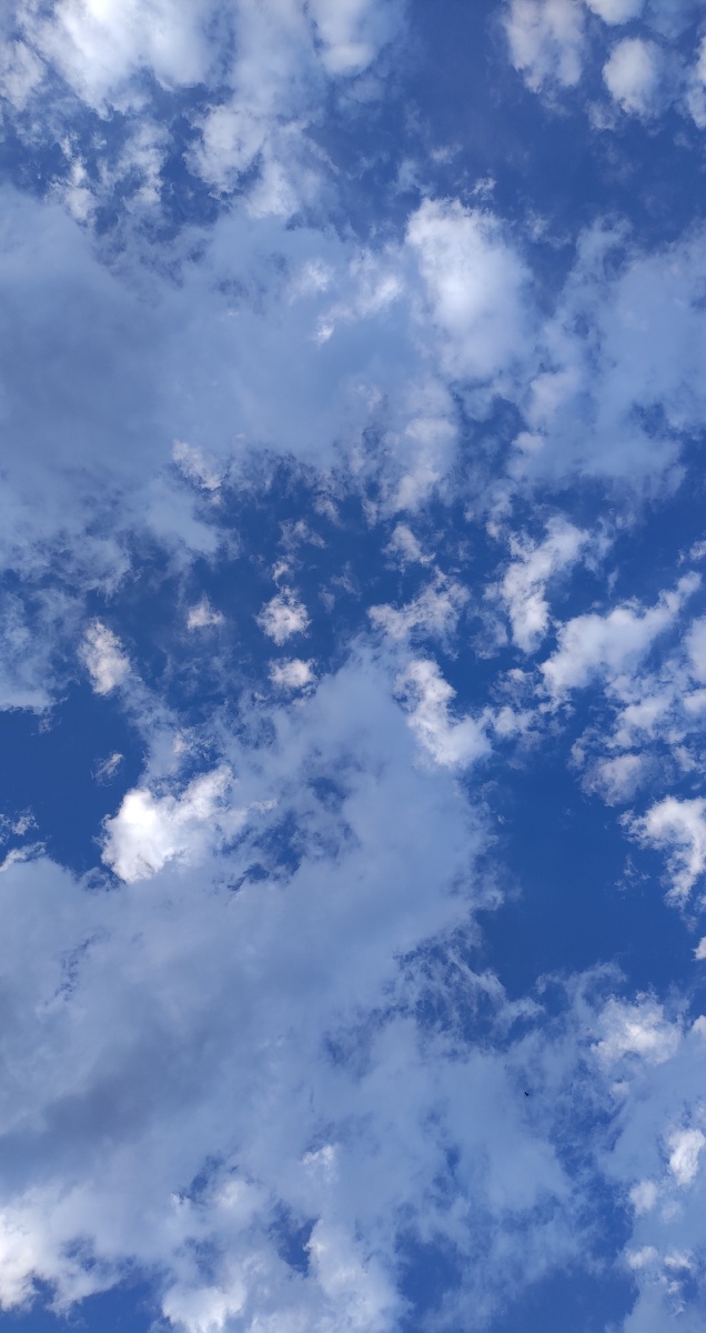 天蓝蓝(手机原相机)