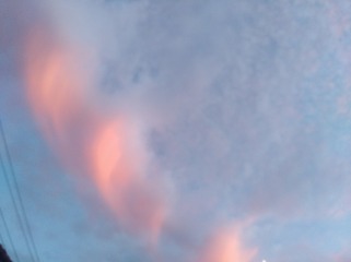 2912469
