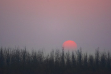 9F8FCF11-D855-437B-ADF5-6B2AB40F44E7/L0/001