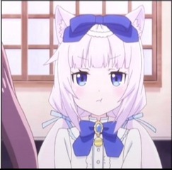 323268