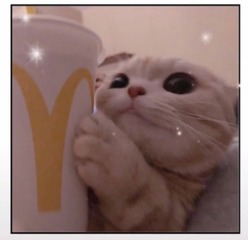 322675