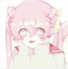 323137
