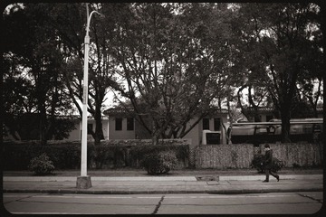 -IMG_8697
