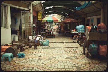 -IMG_8734