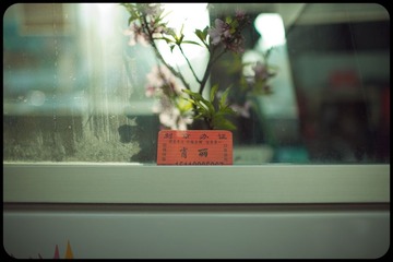 -IMG_9347