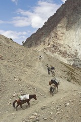 -IMG_9940