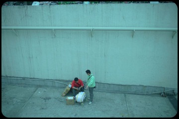 -IMG_9784