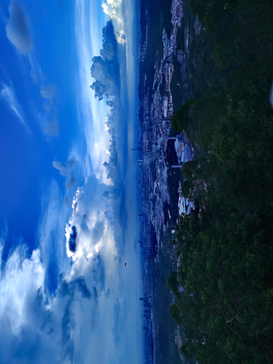 山顶看城市风光