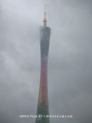 1000016879