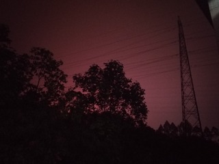 3021465