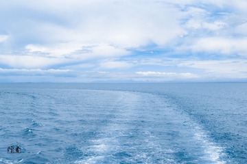 1000011220