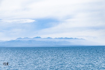 1000011216