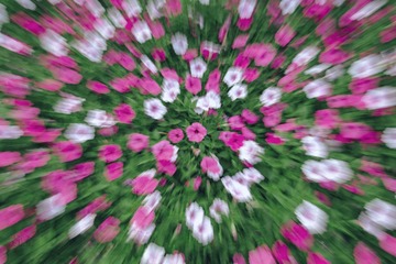 1000017408