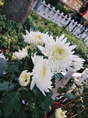 191903
