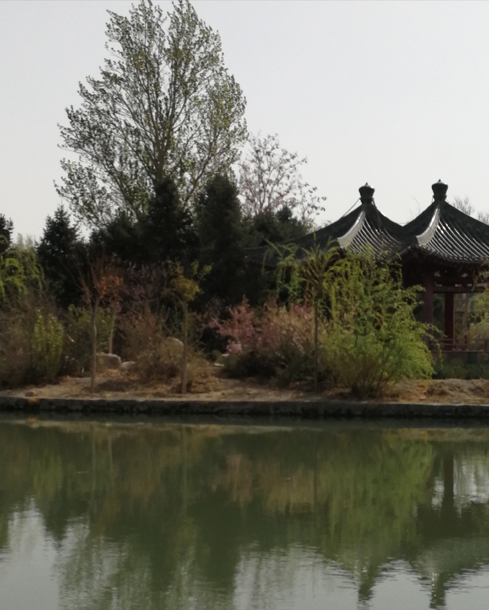 新疆哈密公园景色双塔树木花水倒影