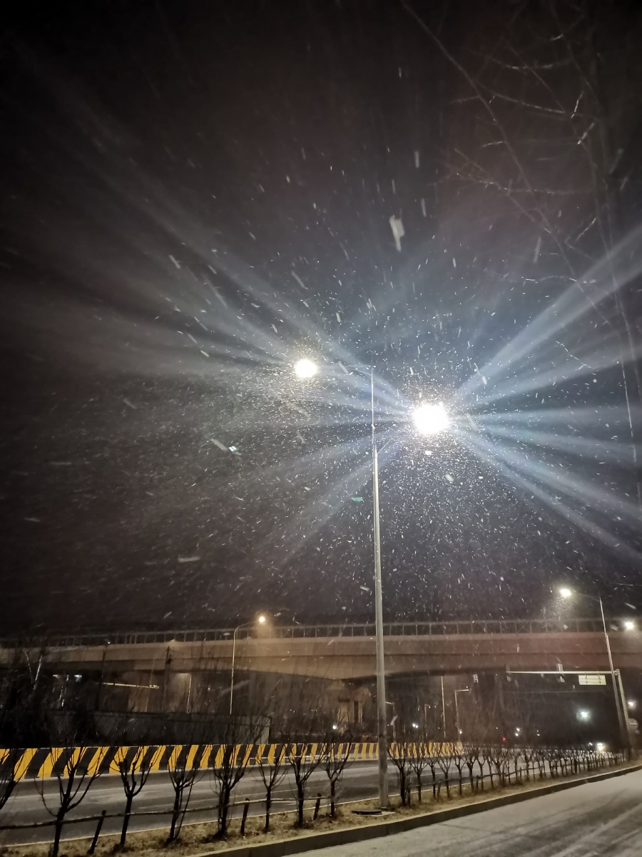 黑夜中雪花飘飘落落雪花 灯光 地铁 黑夜相互交织在一起