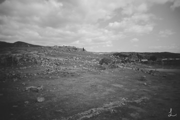 _DSC6897
