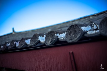 _DSC5062-编辑-2