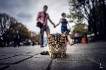 _DSC9320-编辑