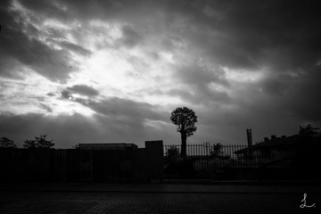 _DSC9021-2