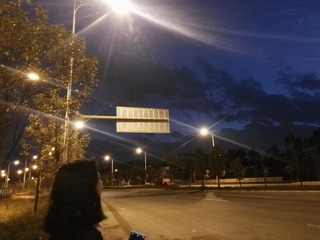 590