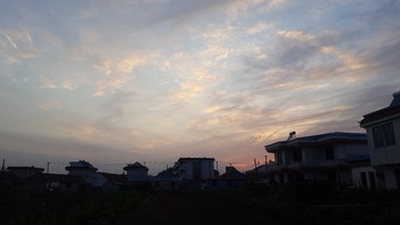954101