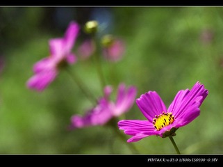 _IGP9488