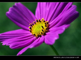 _IGP9489