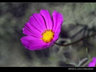 _IGP9494